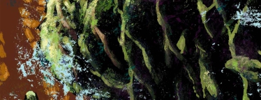 Artwork for Swamp Thing